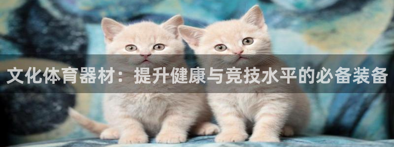 尊龙凯时人生就是博·(中国)官网官