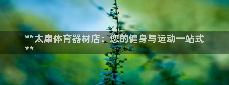 尊龙现金