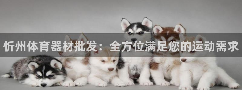 尊龙凯时 人生就是搏!
