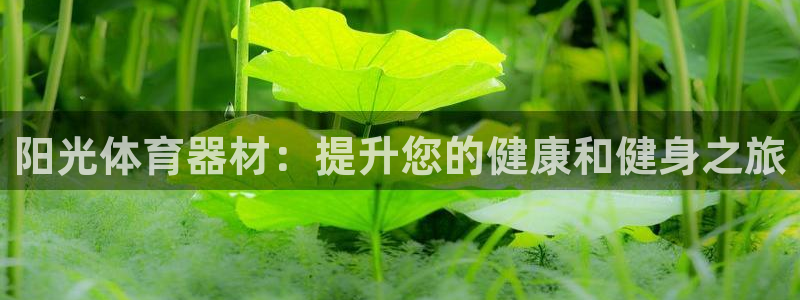 尊龙凯时存款不上分