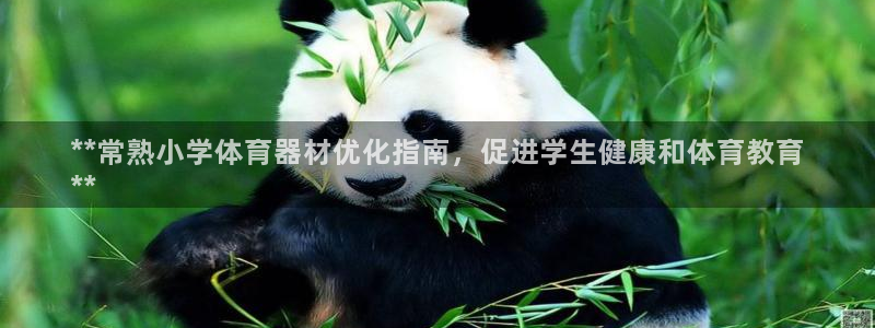 尊龙app怎么样
