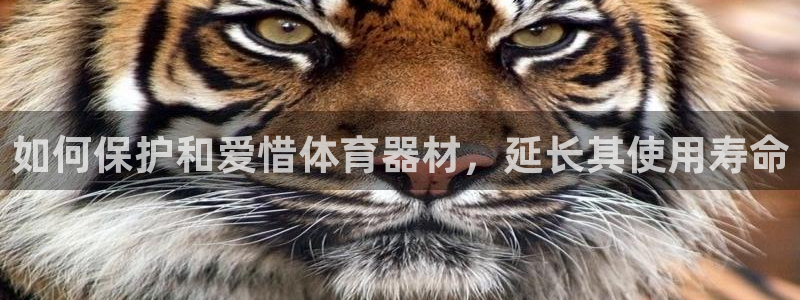 d88尊龙手机登录下载