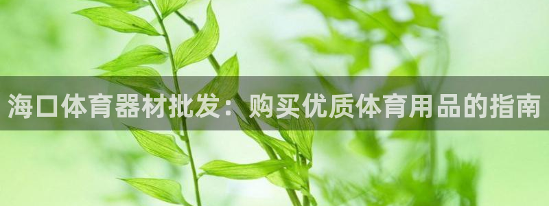 尊龙凯时平台还是万搏好