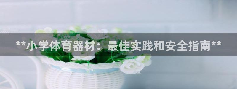 尊龙官方网站最新版V9.3.06介绍