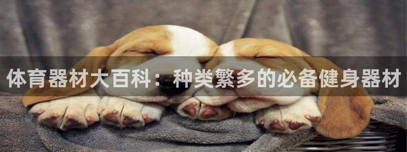 尊龙网页