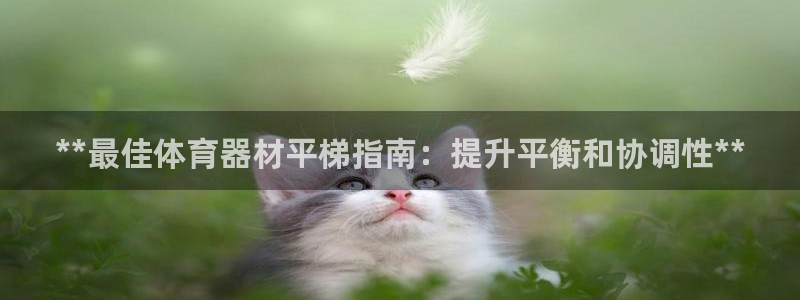 尊龙z6官网