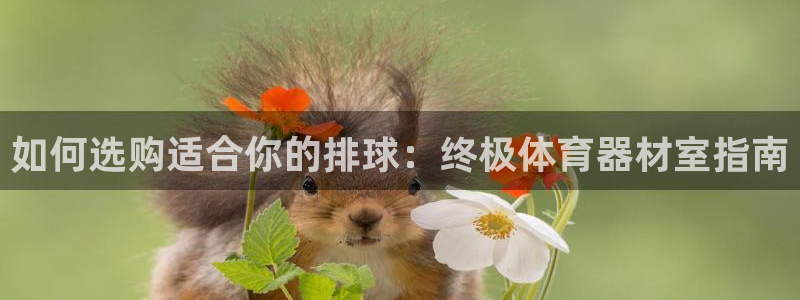 凯时国际平台有人赢吗