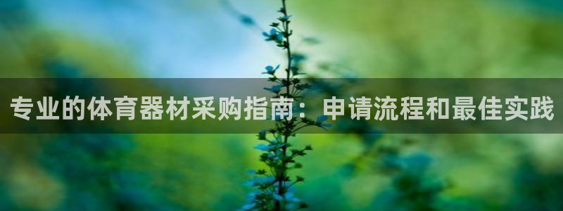 凯时国际网站域名