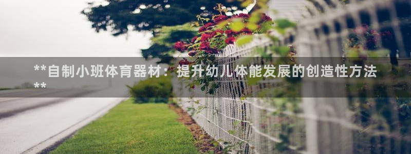 尊龙一生也走不出自己的童年