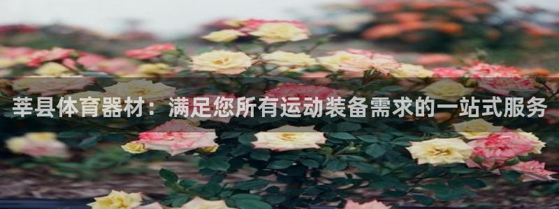尊龙凯时开发：莘县体育器材：满足您所有运动装备需求的一站式服