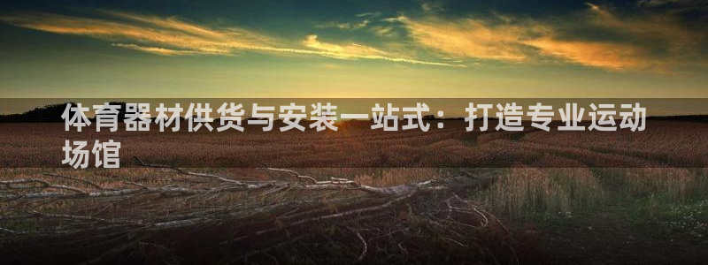 尊龙人生就是博电脑版
