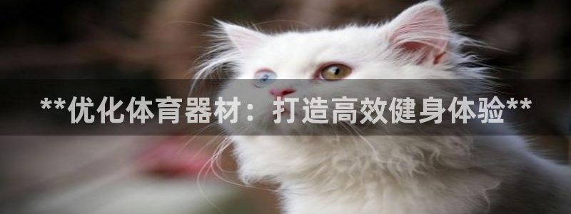 尊龙凯时官方下载