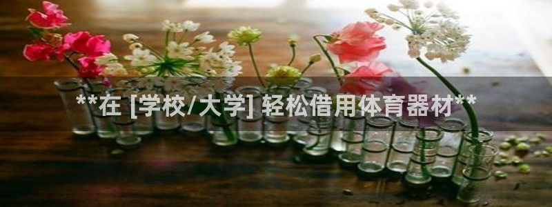尊龙凯时代理官网入口