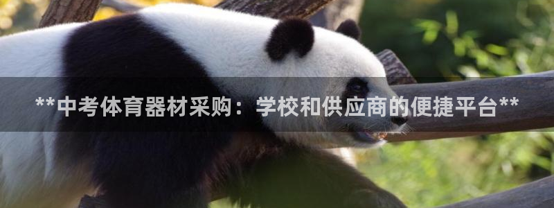 尊龙下载推荐网站