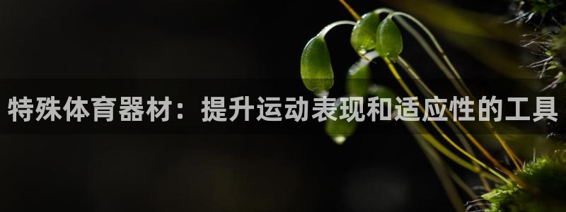 尊龙这个平台怎么样