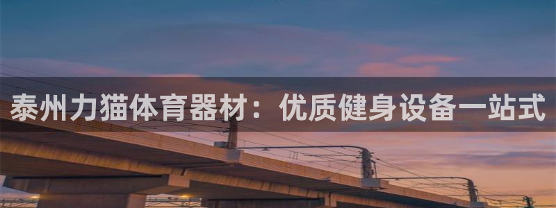 尊龙官网