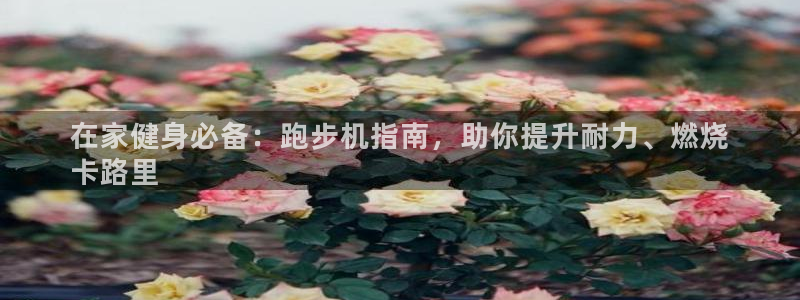 尊龙手机端下载