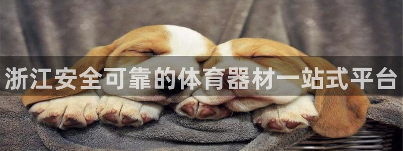 凯时最新官方APP下载