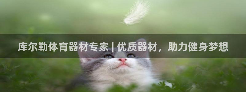 尊龙品牌怎么样