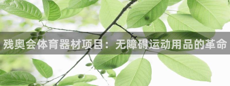 z6尊龙凯时旗：残奥会体育器材项目：无障碍运动用品的革命