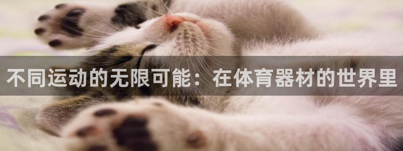 尊龙凯时人生就是搏!平台