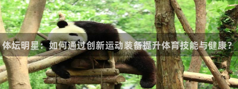 尊龙凯时ag旗舰厅
