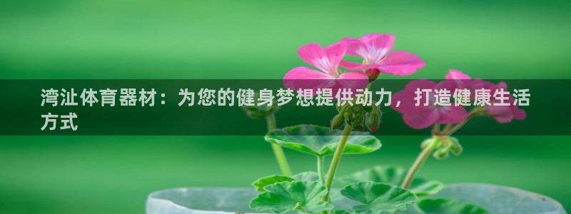 尊龙凯时官网网页版