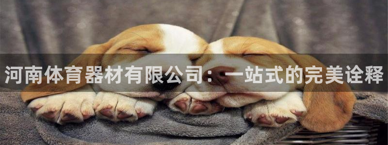 尊龙凯时代理能提出来不