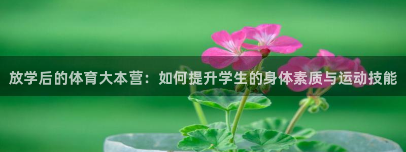 尊龙凯时官方网站：放学后的体育大本营：如何提升学生的身体素质