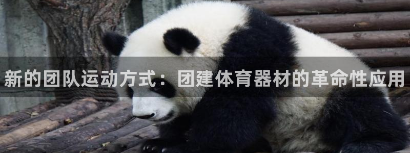 尊龙d88ag旗舰厅